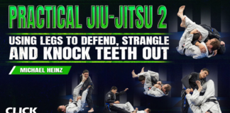 Practical Jiu Jitsu 2: Using The Legs Michael Heinz DVD Review