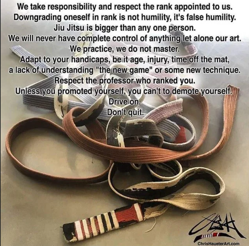 BJJ Black Belt Demotion