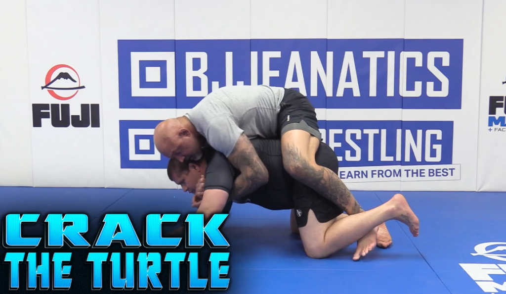 Crack The Turtle Neil Melanson DVD Free Sample