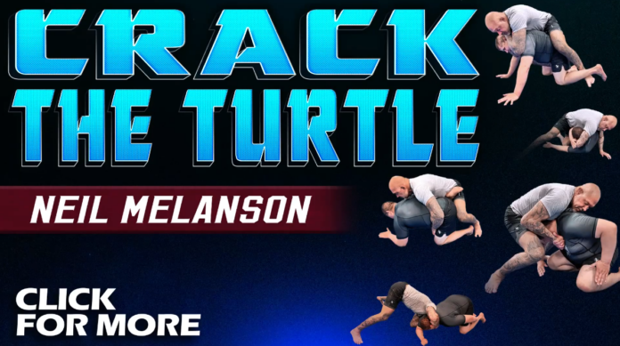 crack-the-turtle-neil-melanson-dvd-review Crack The Turtle Neil Melanson DVD Review