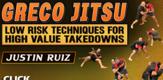 Greco Jiu Jitsu Justin Ruiz DVD Review