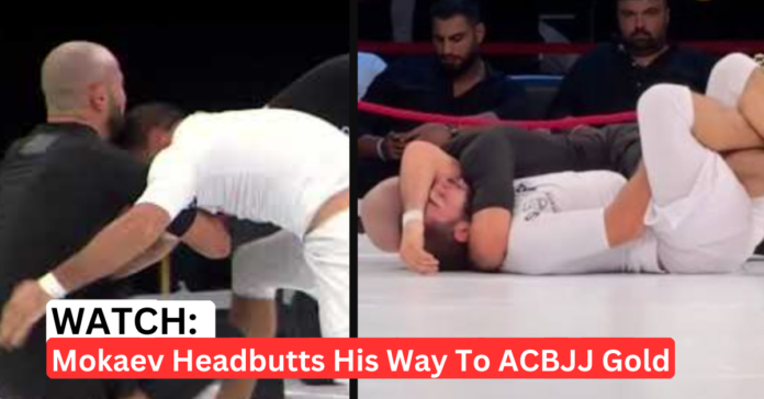 muhammad-mokaev-headbutts-opponent Muhammad Mokaev Headbutts Opponent In BJJ Match