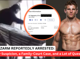 AJ Agazarm Arrested in California on Suspicion of Burglary