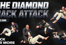 The Diamond Back Attack Joel Bane DVD Review